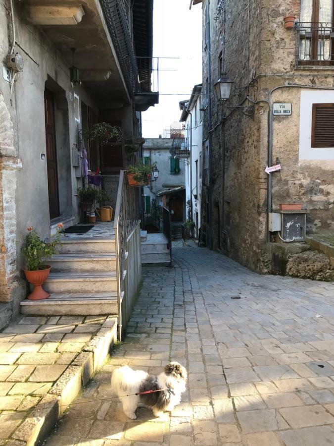 Apartamento Casa Greta Castiglione In Teverina Exterior foto